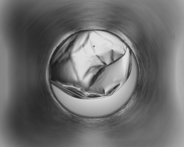 X0000095951293200802011054