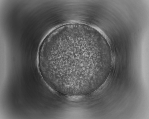 X0000095951294200802011054