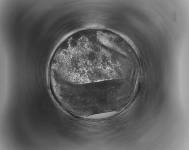 X0000095951295200802011054