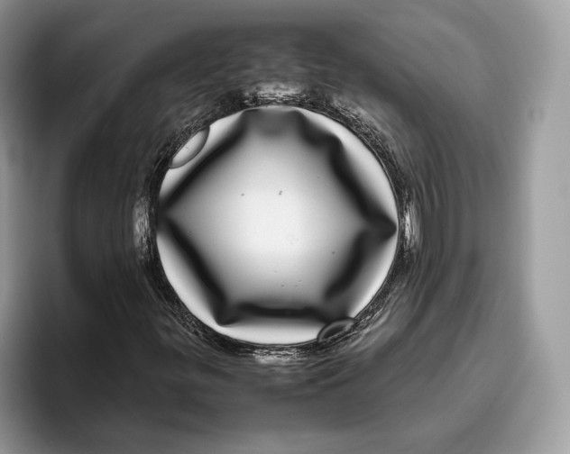 X0000095951299200802011053