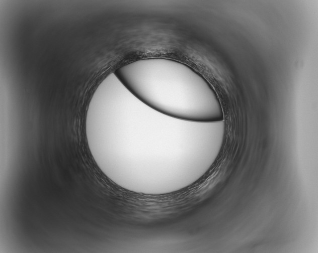 X0000095951300200802011053