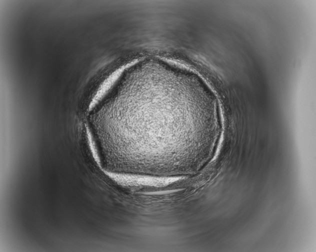 X0000095951302200802011053