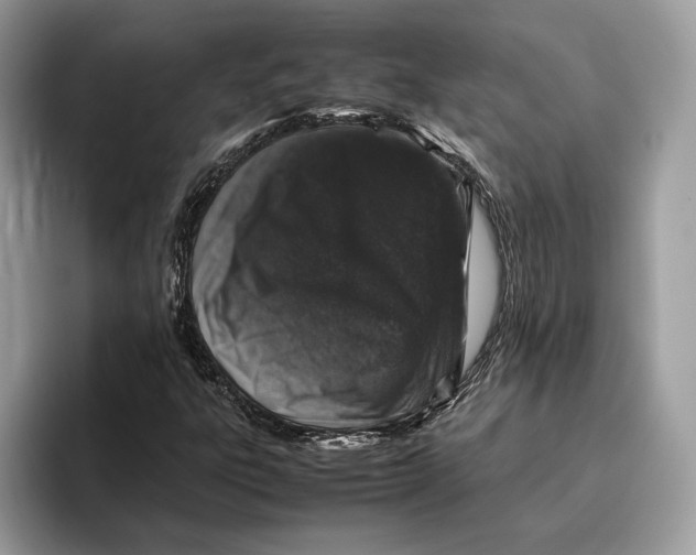 X0000095951303200802011053