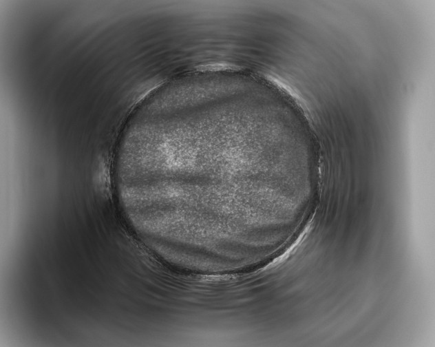 X0000095951305200802011053