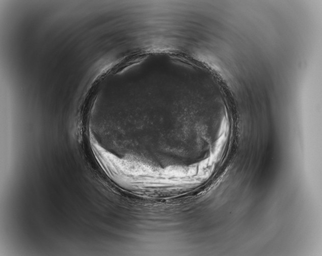 X0000095951306200802011053