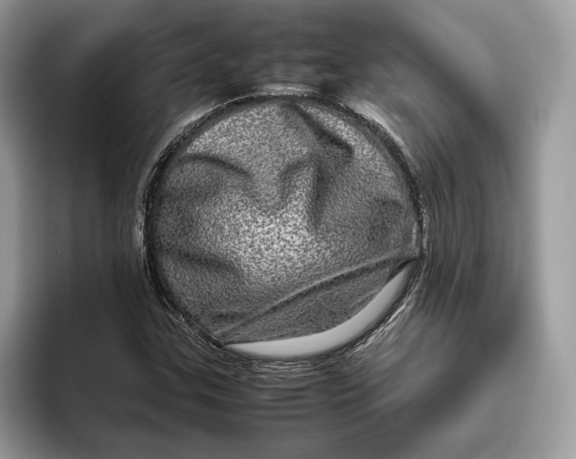 X0000095951307200802011053