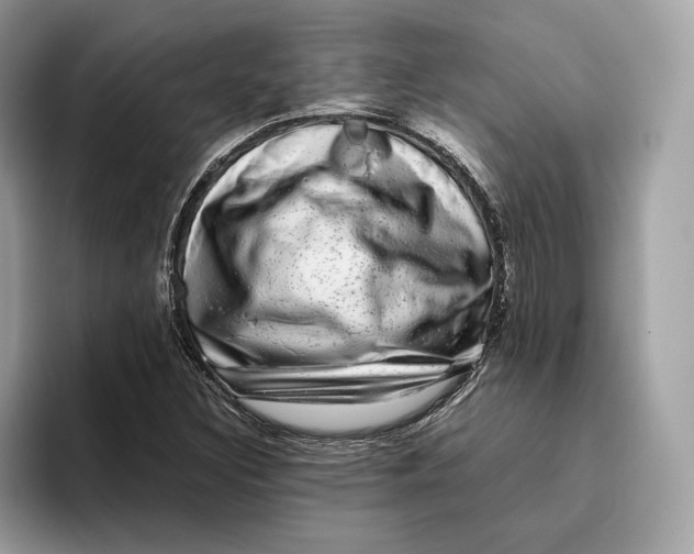 X0000095951308200802011053