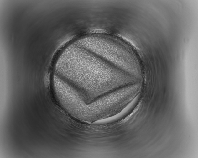 X0000095951309200802011053