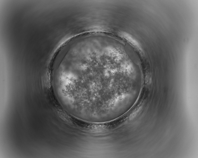 X0000095951310200802011053