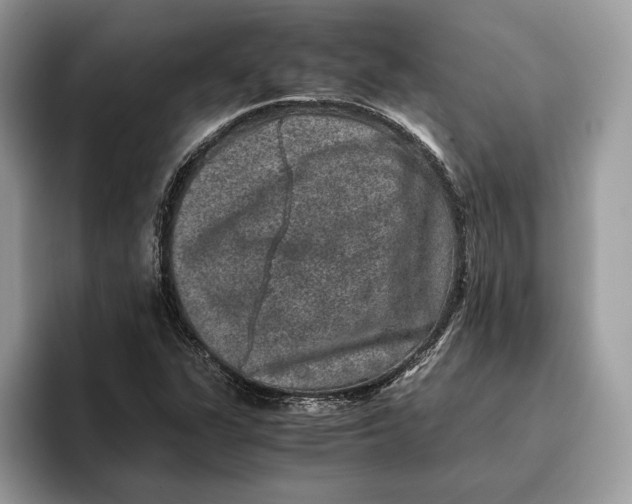 X0000095951311200802011053