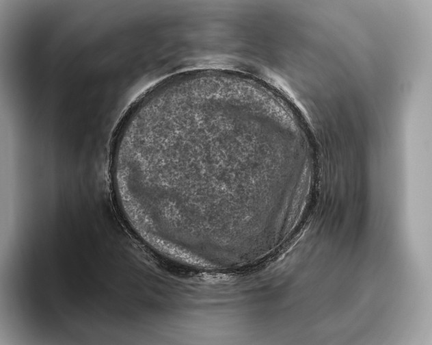 X0000095951312200802011053