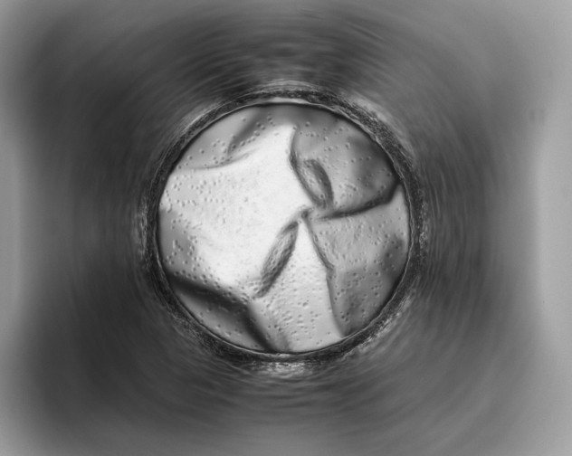 X0000095951313200802011053