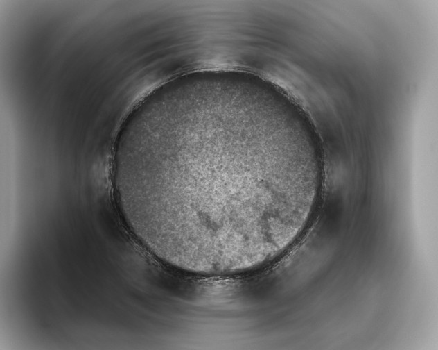 X0000095951314200802011053