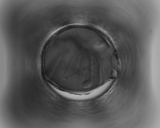 X0000095951319200802011054