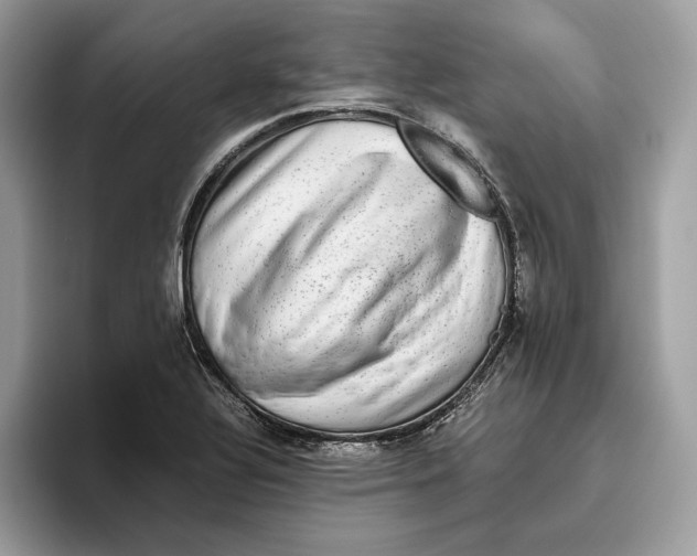 X0000095951320200802011054