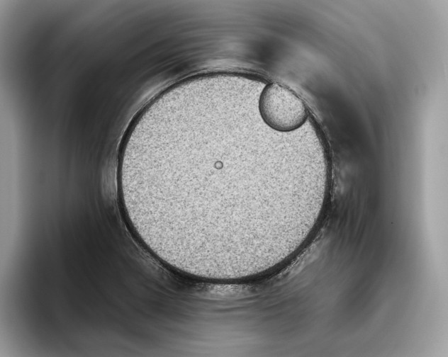 X0000095951322200802011054