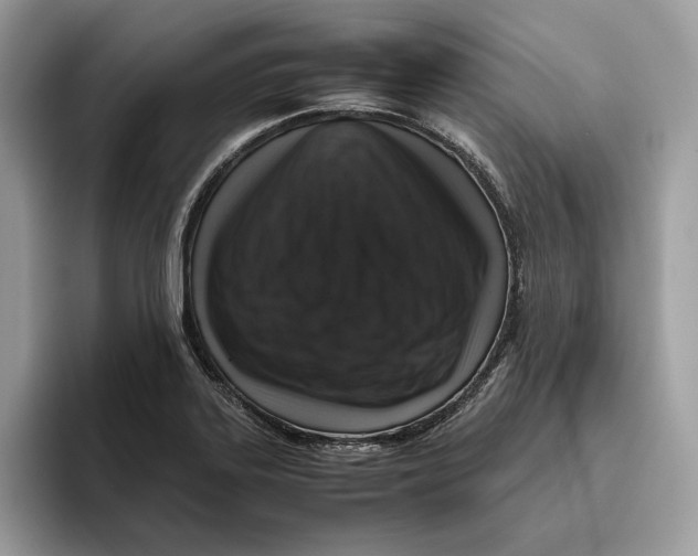 X0000095951323200802011054