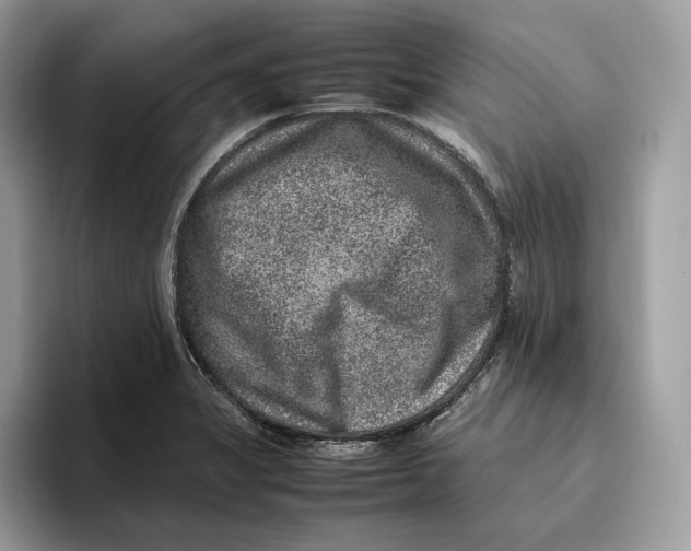 X0000095951325200802011054