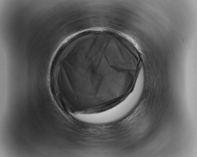 X0000095951327200802011054