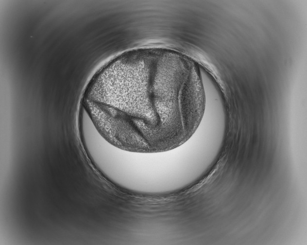 X0000095951328200802011054