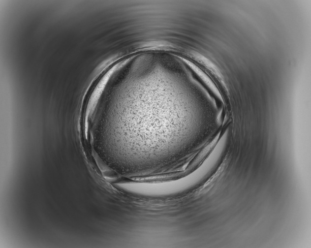 X0000095951330200802011054