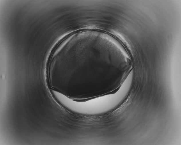 X0000095951331200802011054