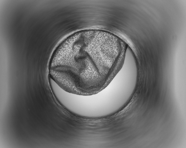 X0000095951332200802011054