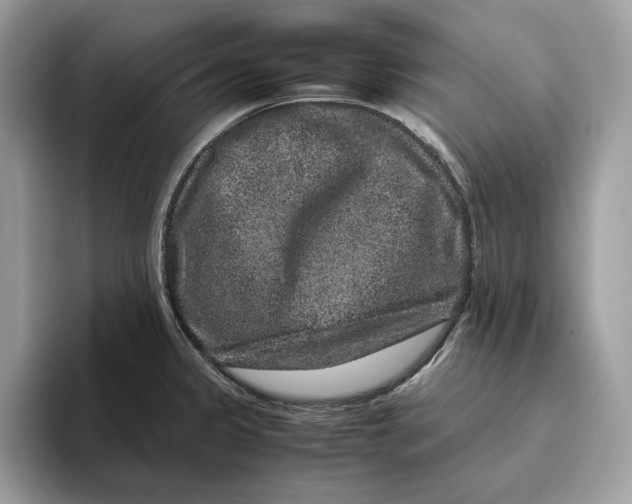 X0000095951333200802011054