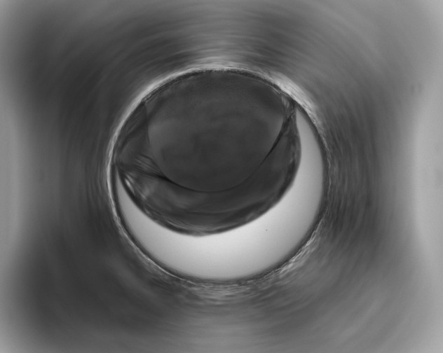 X0000095951334200802011054