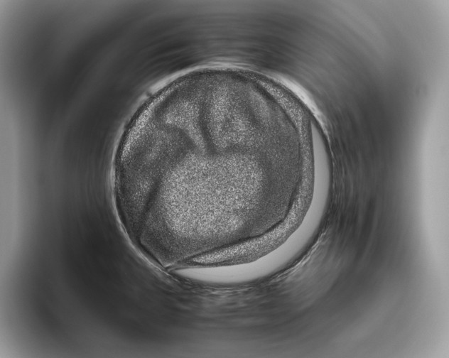 X0000095951335200802011054