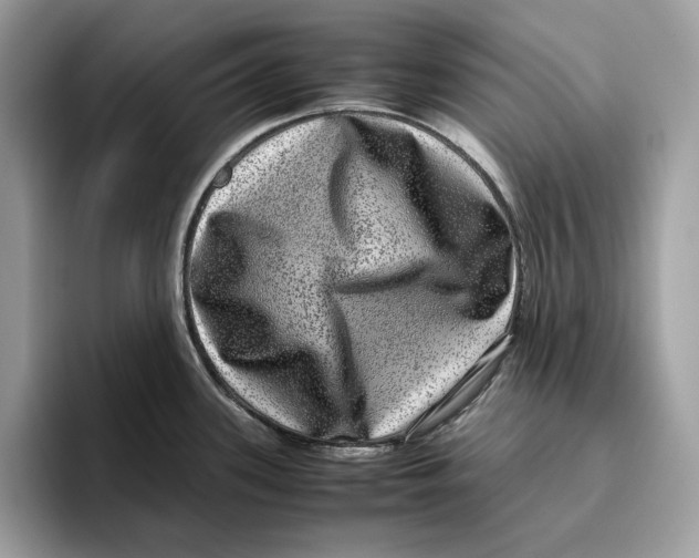 X0000095951339200802011054