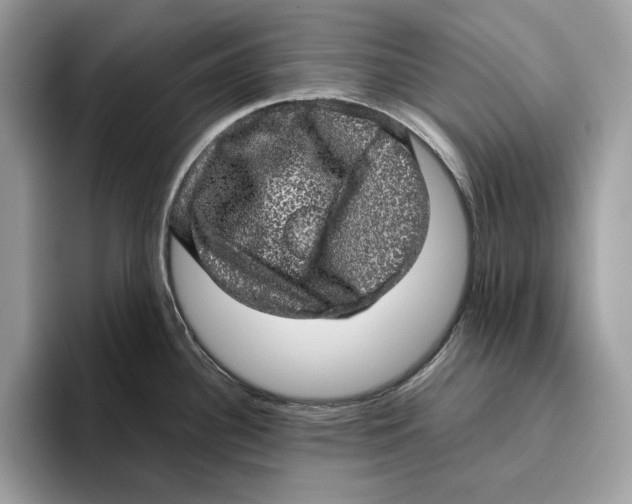 X0000095951340200802011054