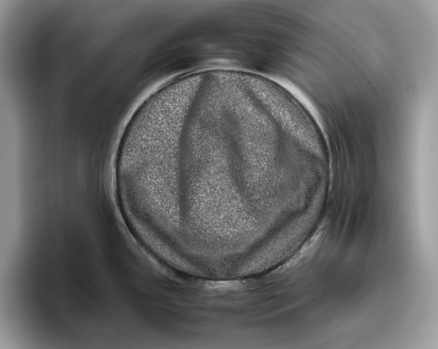 X0000095951341200802011054