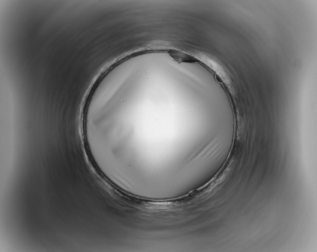 X0000095951342200802011054