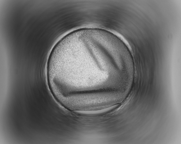 X0000095951343200802011054