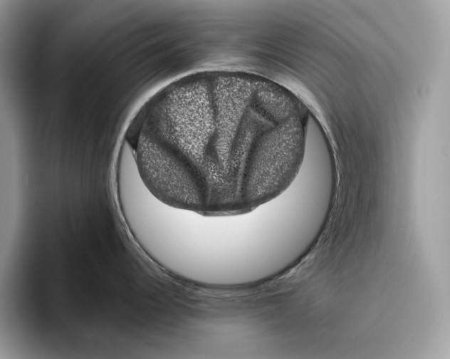 X0000095951344200802011054