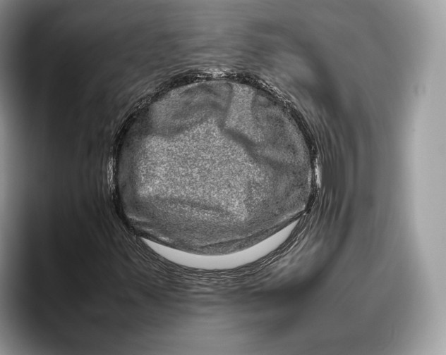 X0000095951347200802011053