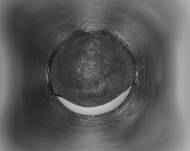 X0000095951348200802011053