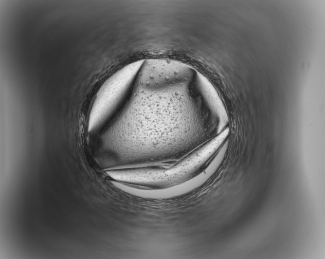 X0000095951349200802011053