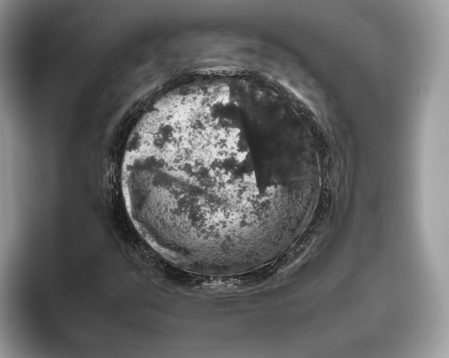 X0000095951351200802011053