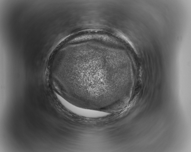 X0000095951352200802011053