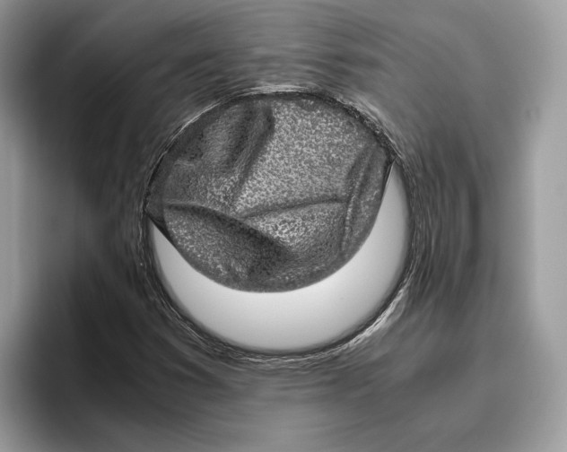 X0000095951353200802011053