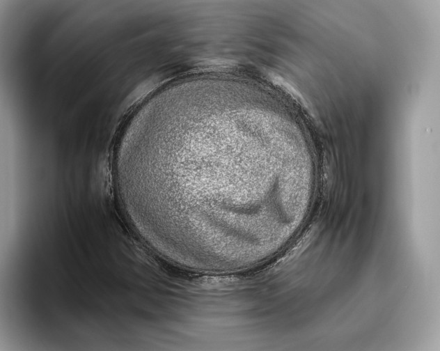 X0000095951354200802011053