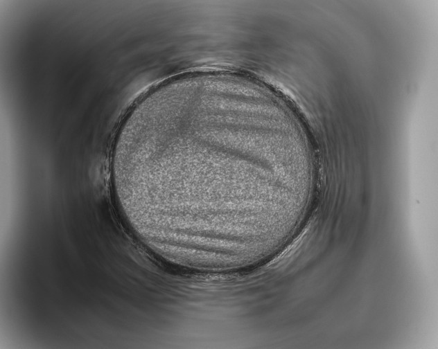 X0000095951355200802011053