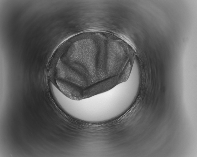 X0000095951356200802011053