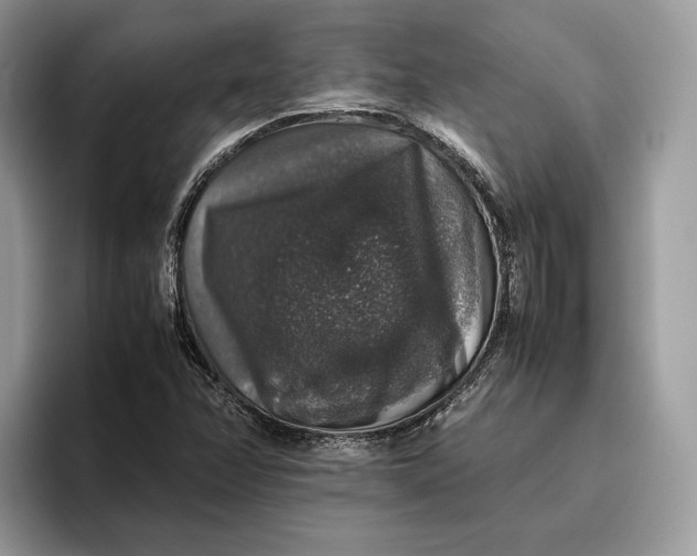 X0000095951358200802011053