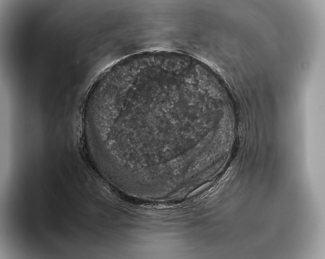 X0000095951359200802011053