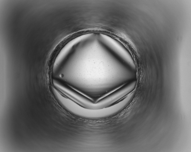 X0000095951360200802011053