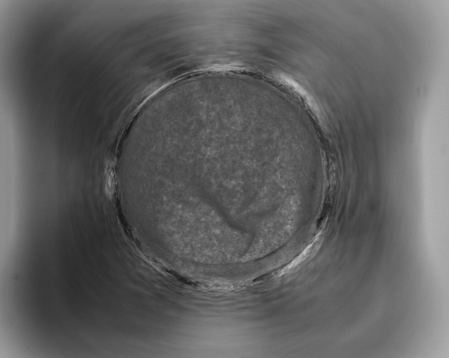 X0000095951361200802011053