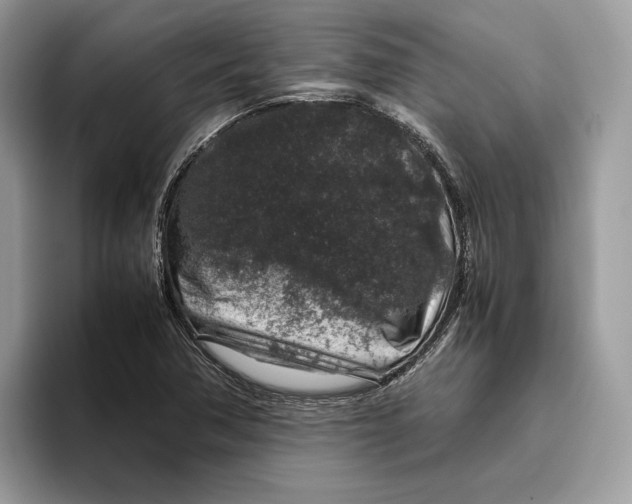 X0000095951362200802011053